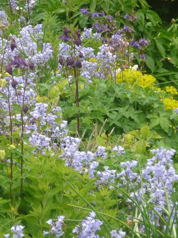 Castle View B&B Freshford 외부 사진